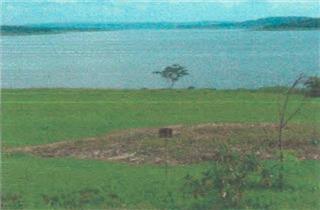 Lote 54