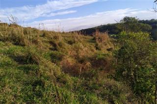 Terreno rural, com 9,4129 ha, lote nº 184, localizado na Fazenda Santa Madalena, na Cidade de Wenceslau Braz, PR