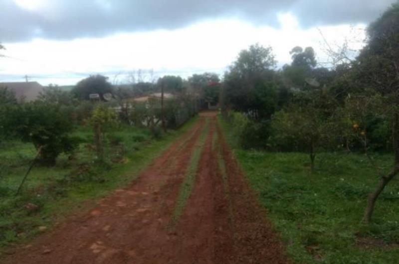 Terreno urbano, com uma construção não averbada, da quadra nº 117, São Luiz Gonzaga RS