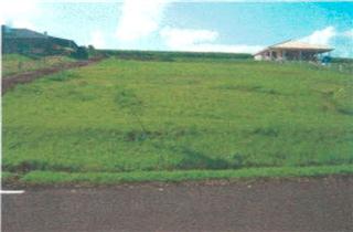 Lote 372