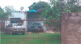 Lote 231
